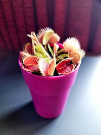 Close-up of pink flower pot on table