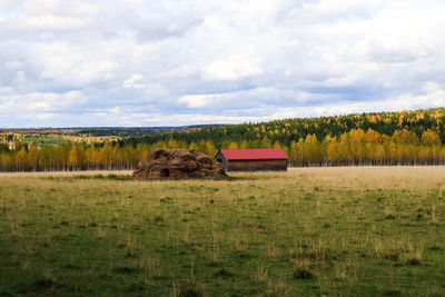 Scenic view of grassy field against cloudy sky