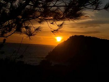 Silhouette trees by sea against sky during sunset