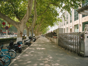 Bicycles parked on footpath by street in city