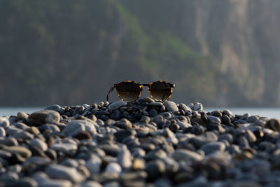 Close-up of stones on rock