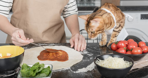 The woman owner and her cat lay out the pizza toppings on the dough.