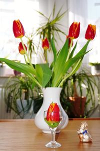 Close-up of red roses in vase on table