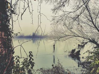 Reflection of bare trees in lake against sky