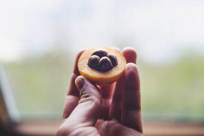 Close-up of hand holding fruit