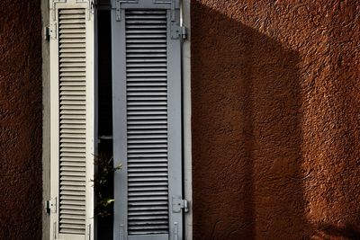 Close-up of window