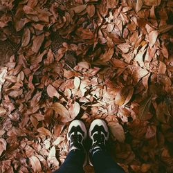 Low section of person standing on autumn leaves