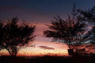 Silhouette trees on landscape against sky at sunset