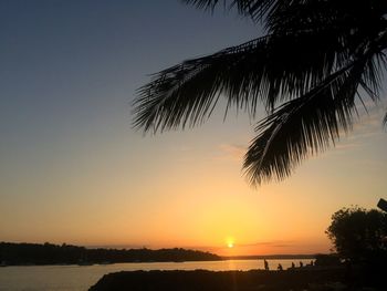 Silhouette palm tree by sea against sky during sunset