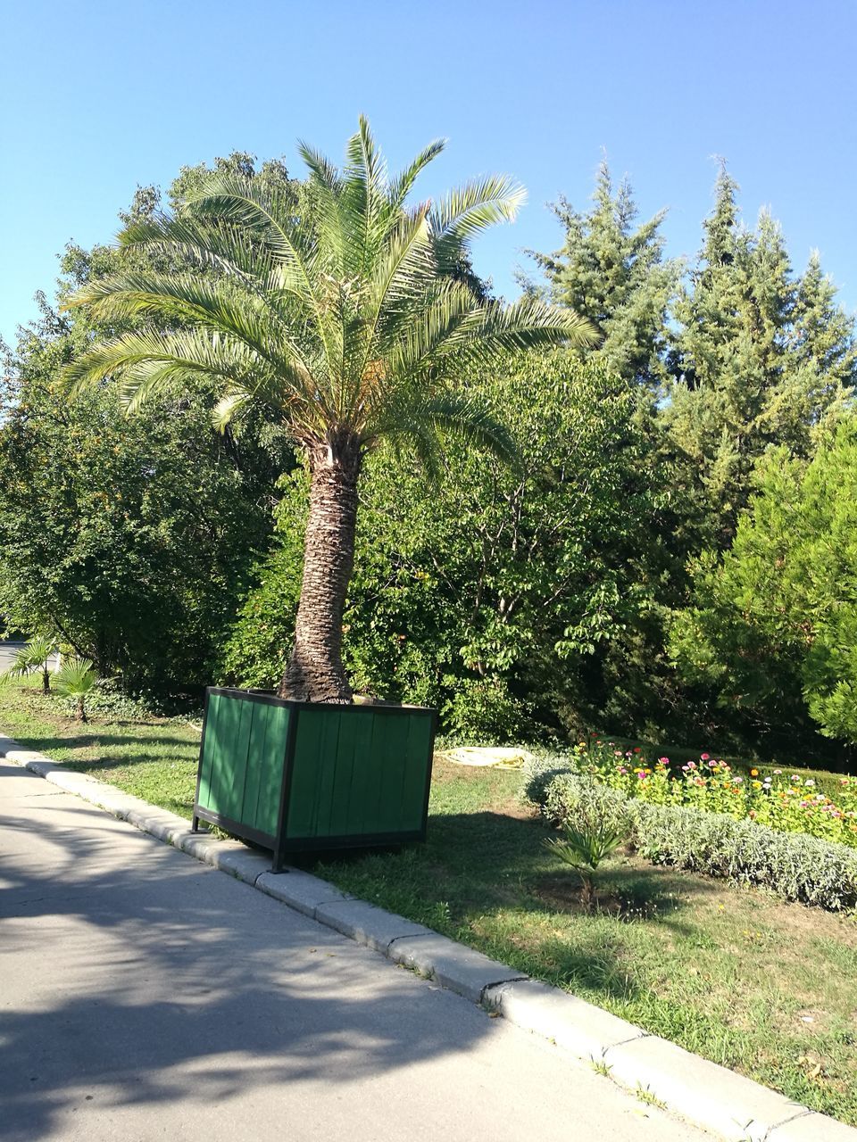 EMPTY PARK ON SUNNY DAY