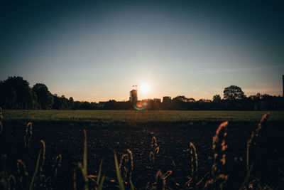 Scenic view of agricultural field against sky during sunset