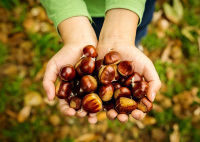 Close-up of hand holding berries