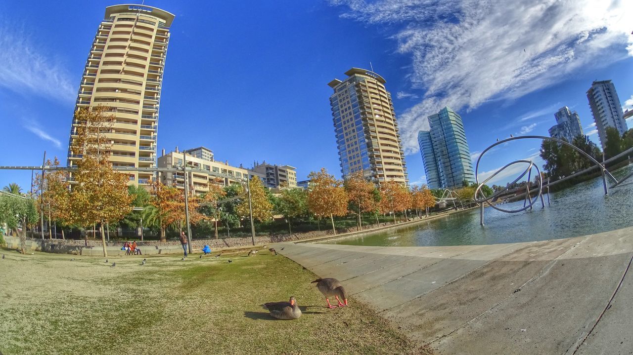 building exterior, architecture, built structure, tree, city, sky, blue, water, tall - high, modern, tower, skyscraper, sunlight, beach, park - man made space, city life, travel destinations, incidental people, fountain, day