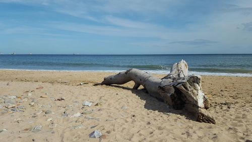 Scenic view of beach against sky