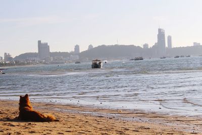 View of sea and cityscape against sky