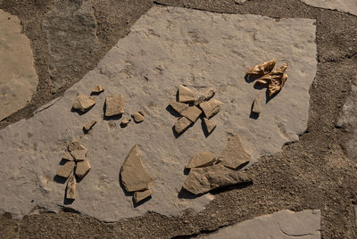 High angle view of text on rock