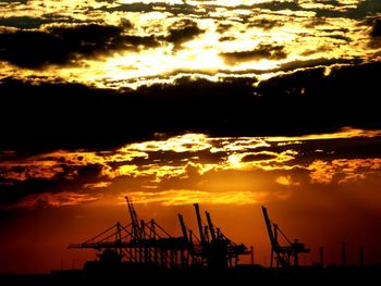 Silhouette of cranes at sunset