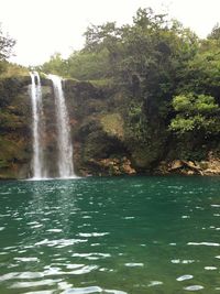 Waterfall in forest