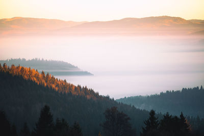 Scenic view of fog covered lake and mountain at forest