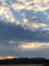 Silhouette trees on field against sky at sunset