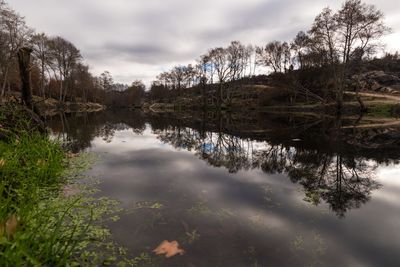 Reflection of trees in lake against sky