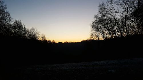 Silhouette trees against sky during sunset