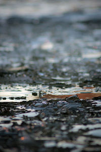 Surface level of white surface