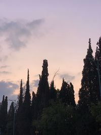 Silhouette trees in forest against sky during sunset