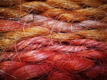 Full frame shot of human eye