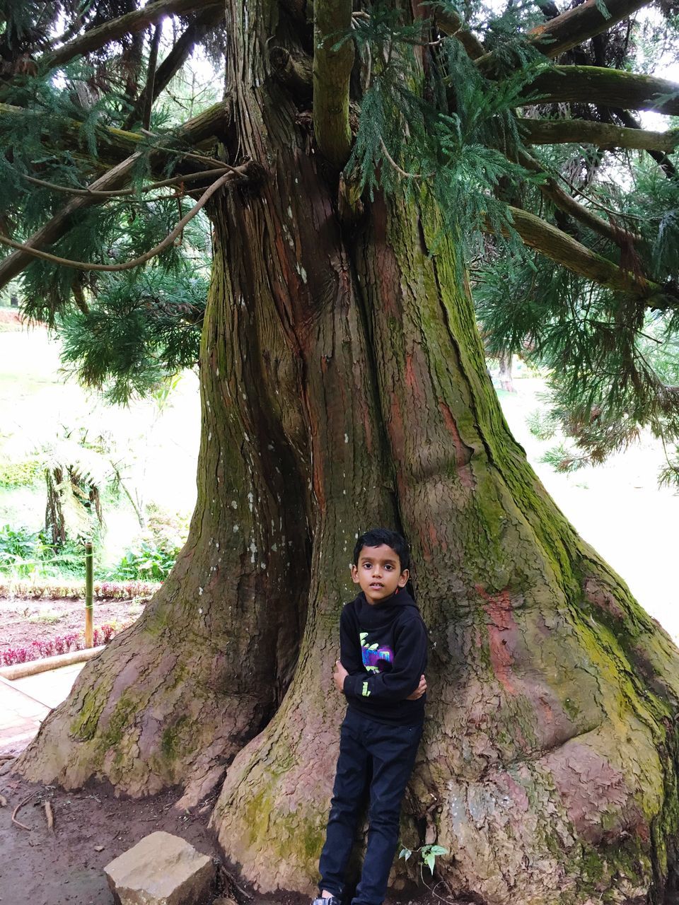 tree, tree trunk, real people, looking at camera, leisure activity, one person, portrait, lifestyles, front view, casual clothing, growth, nature, standing, mid adult women, day, young women, outdoors, smiling, young adult, posing, branch, hugging, happiness, beauty in nature, sky