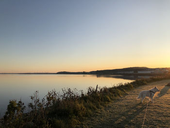 View of the limfjorden in nibe in the morning