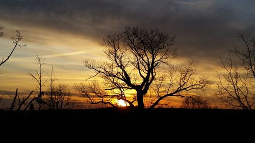 Silhouette bare trees on landscape against sky at sunset