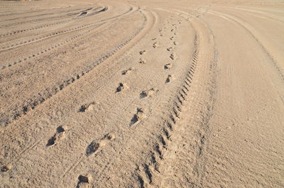 Tire tracks on sand