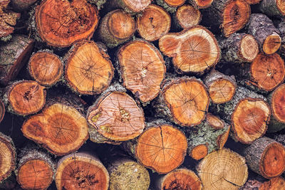 Stack of wood logs