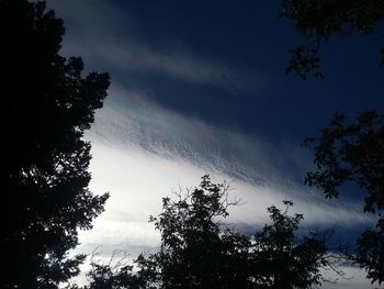 Silhouette trees in forest against sky