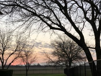 Silhouette bare trees against sky during sunset