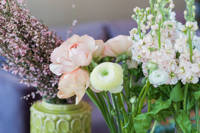 Close-up of white flowers in vase