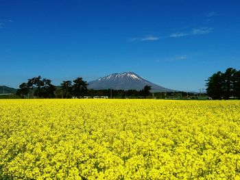 Scenic view of field against cloudy sky