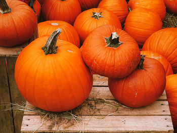 High angle view of pumpkins for sale at market