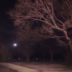 Illuminated bare tree against sky at night