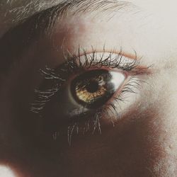 Close-up portrait of human eye