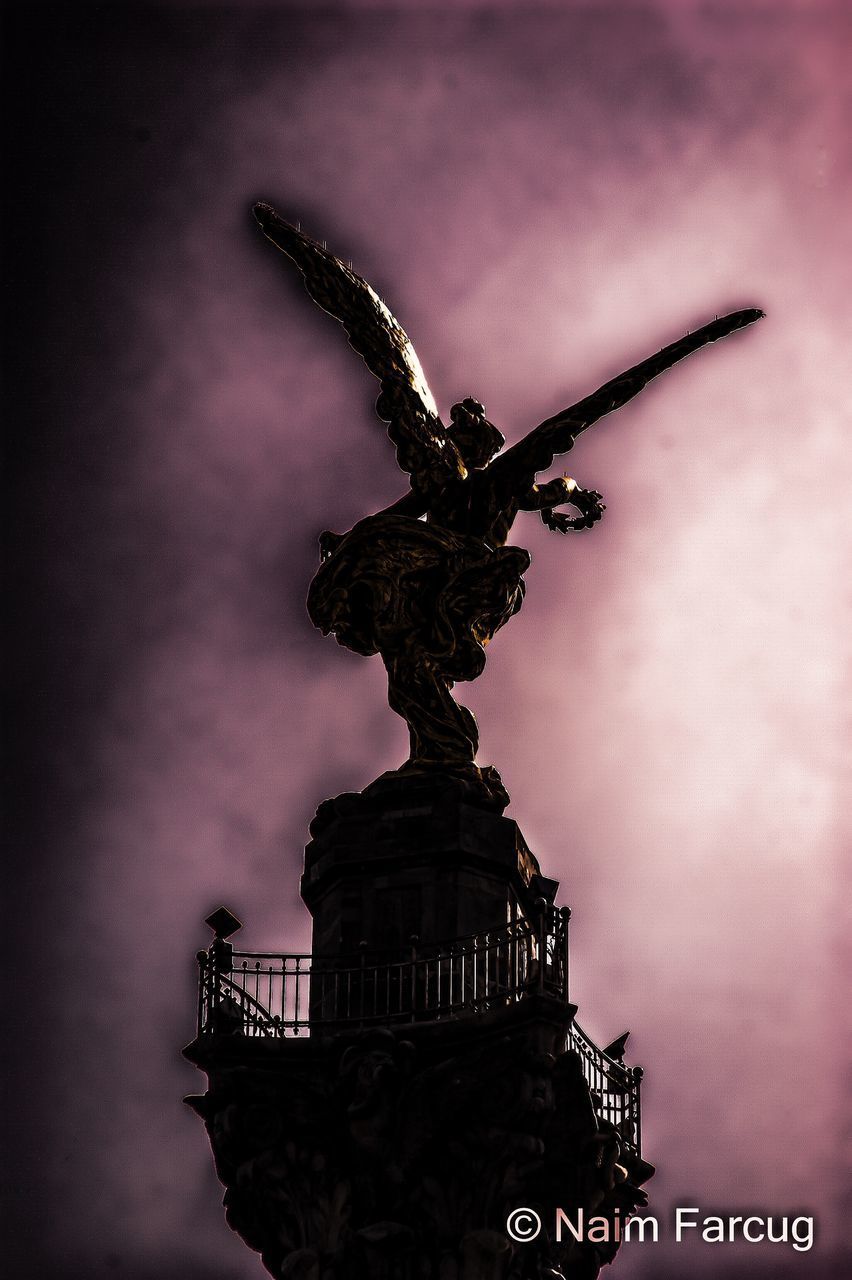 LOW ANGLE VIEW OF STATUE AGAINST SKY