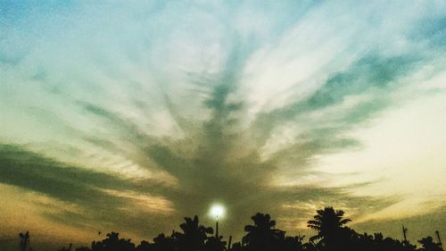 Low angle view of trees against sky