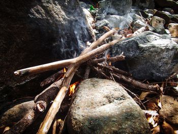 High angle view of firewood