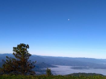 Scenic view of landscape against clear blue sky