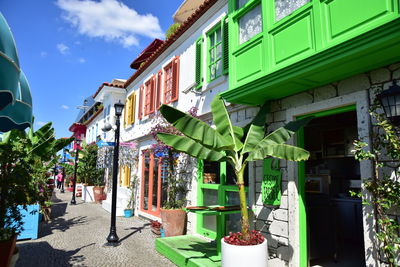 Potted plants outside building against sky