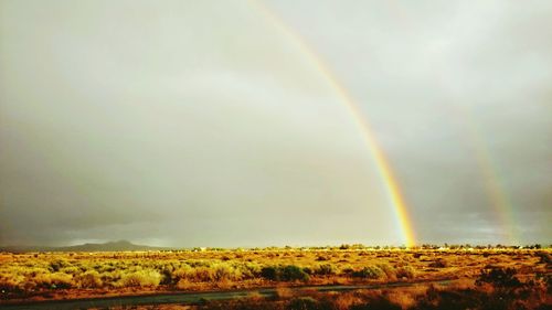 Scenic view of rainbow over field