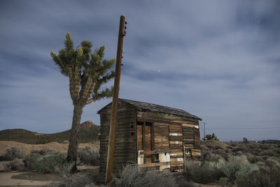 Abandoned shack and joshua tree in desert
