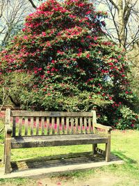 View of park bench in garden