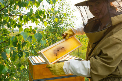 Rear view of man using mobile phone